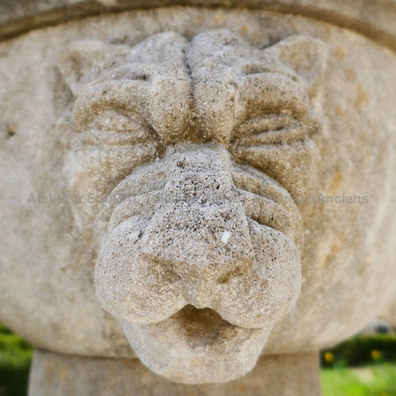 Détail d'une sculpture en pierre sculptée sur notre fontaine de jardin en pierre calcaire de Provence.